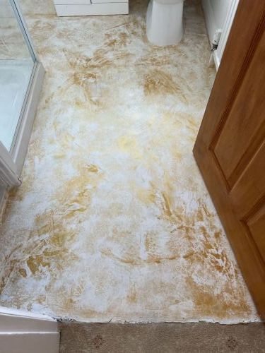IMG 0748