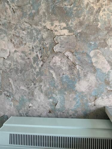 Wallpapering10
