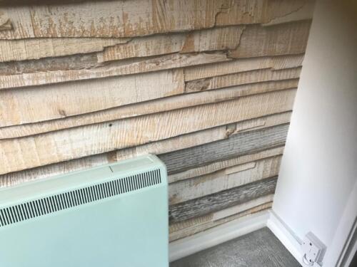Wallpapering8